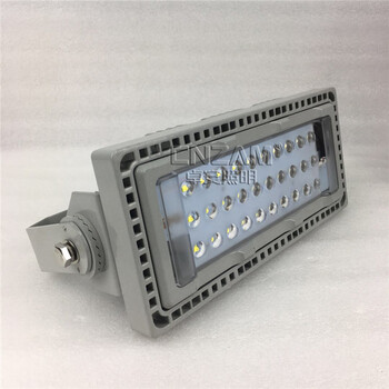 海洋王ZGD212LED投光燈（NTC9280100W）