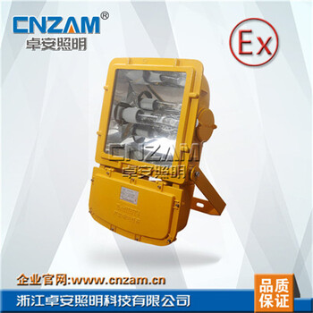 ZBFC8110防爆泛光燈