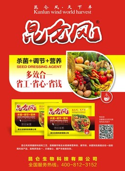 昆侖風(fēng)多效合一套餐