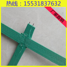 貴陽護山綠化植物攀爬網(wǎng)廠家植物爬藤網(wǎng)多錢一平