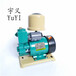 台州全自动冷热水自吸泵PHJ125w家用自吸增压泵太阳能增压供水