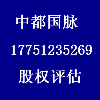 企业整体资产评估公司股权价值评估机构股权价值评估报告