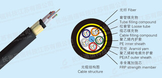 厂家直供全介质自承式光缆图片3