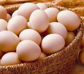 鸡蛋壳颜色白什么原因，蛋鸡蛋壳颜色变白的原因