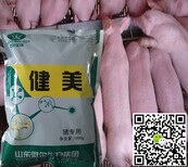 猪饲料添加剂有哪些,猪用添加剂图片3