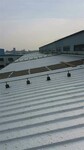 上海天信野麦龙金属屋面专用防水卷材创口贴式施工无需动用明火