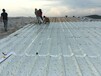 天信野麦龙金属屋面防水卷材厂房屋面防水施工