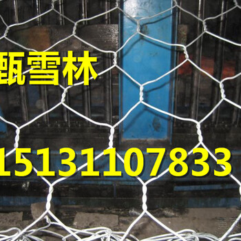 杭州河道防洪石籠網(wǎng)——六角石籠網(wǎng)批發(fā)價(jià)格-石籠網(wǎng)箱規(guī)格