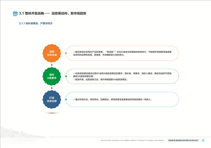 新泰制作项目申请报告的机构-制作新泰文案