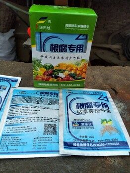 根腐病咋防治中藥材根腐怎么辦根腐靈根腐灌根藥