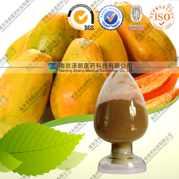 【木瓜提取物10:1苹果酸OME代加工QS认证厂