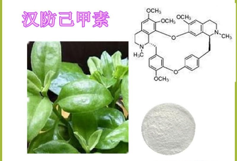 南京泽朗汉防己甲素粉防己碱代加工包装