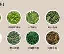 上海菊花茶进口报关代理信誉保证图片