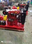 柴油机消防泵组XBC12.0/50G-W厂家