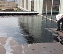 大鵬屋面防水補漏質量可靠,鋼結構屋面防水補漏