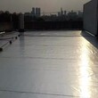 屋顶补漏防水胶