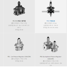 dungs全预混350KW（半吨）燃气阀组上海比吉电子