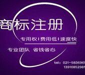 上海公司合并财务报表编制程序