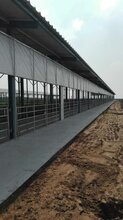 保温鸡舍幕帘安装方法透光防水牛棚卷帘布加厚温氏羊舍幕帘篷布图片