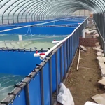 对白虾养殖水池养殖水蛭鱼池水箱养牛蛙养殖专用水箱鱼池