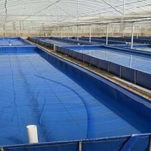 养殖牛蛙储水池江苏小龙虾帆布养殖池茂名对白虾鱼池储水池图片