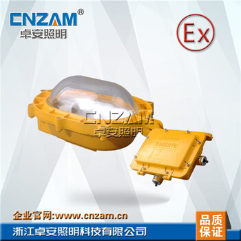 內(nèi)場(chǎng)防爆強(qiáng)光防爆燈BFC8120