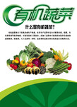 浙江有机蔬菜种植有机养殖有机农产品加工有机农业