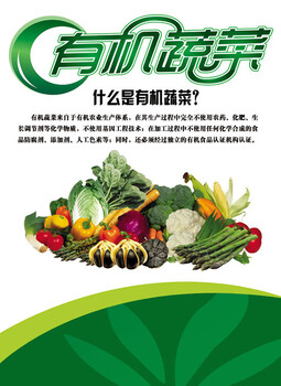 浙江有机蔬菜种植有机养殖有机农产品加工有机农业