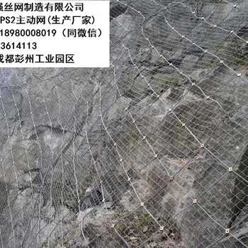 主動(dòng)防護(hù)網(wǎng)-spider蜘蛛網(wǎng)廠家