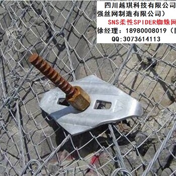 四川spider蜘蛛網(wǎng)廠家價格