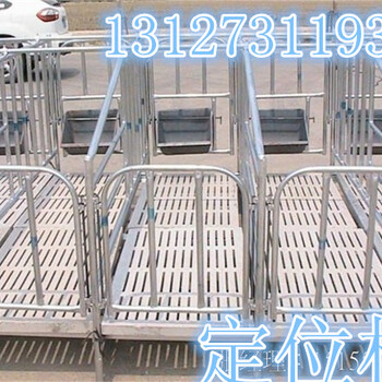 厂家常年大量母猪定位栏，质量杠杠的
