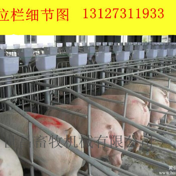 母猪定位栏保胎用一组十个猪位送十个钢板食槽河北批发价格