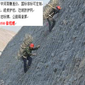 sns邊坡柔性防護網(wǎng)鋼絲防護網(wǎng)廠家批發(fā)