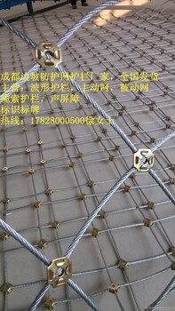 gps2主動防護(hù)網(wǎng)廠家sns柔性主動防護(hù)網(wǎng)價格