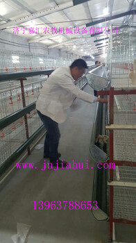 肉鸭笼，厂家新型笼养肉鸭设备