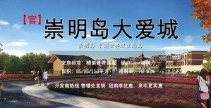 摘自楼市情报站--崇明大爱城房价及崇明楼市讲析！图片2