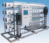 反渗透高纯水制取设备EDI高纯水设备超纯水设备