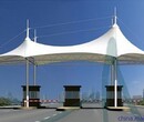 定制安装张拉膜结构景观棚高速公路加油站收费站图片