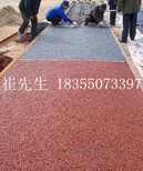 四川省压模地坪彩色混泥土装饰地坪给城市添加火热图片4