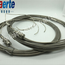伴热电缆\MIC-Ⅱ-04T铠装加热电高温电伴热带