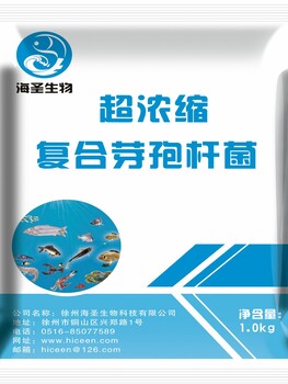 芽孢桿菌