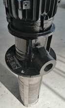 供应张家港恩达泵业的机床液下泵QLY10-44