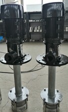 张家港恩达泵业的立式离心泵QLY10-11X1