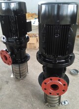 张家港恩达泵业的离心泵QLY60-17X1