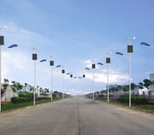 供应蚌埠8米太阳能路灯led太阳能灯40瓦太阳能灯锂电池路灯厂家价格