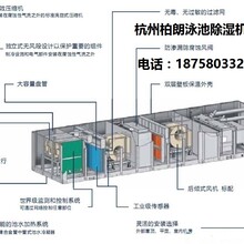 杭州柏朗专注泳池恒温恒湿空调机组