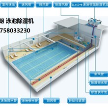 私人别墅常用泳池恒温恒湿设备