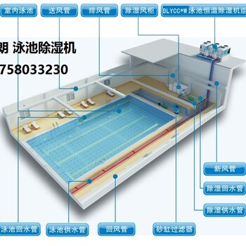 私人别墅常用泳池恒温恒湿设备