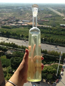 冰葡萄酒瓶手工玻璃酒瓶手工制作玻璃酒瓶创意白酒瓶