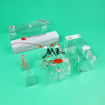 厂家定制PVC吸塑透明盒子、pvc包装盒、PVC折盒胶盒，PVC透明彩印